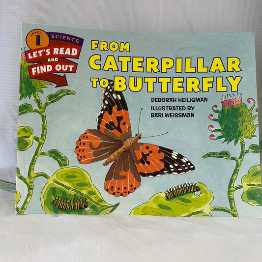 From Caterpillar to Butterfly Book